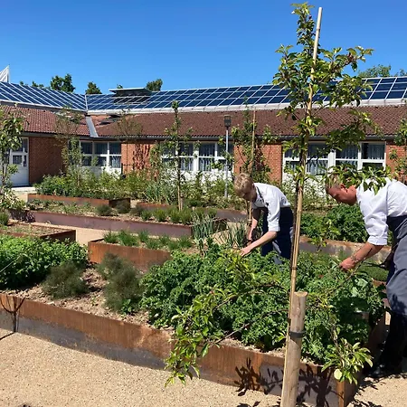 酒店 Western 希勒勒